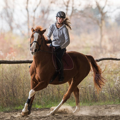 Horses Love This!