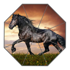 Color Splash Horse Umbrella