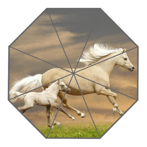 Color Splash Horse Umbrella