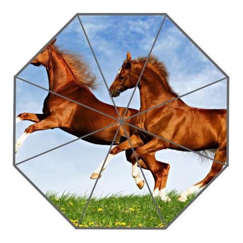 Color Splash Horse Umbrella