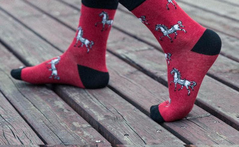Horse Socks 5 Pairs