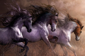 Wild Horses Poster/Canvas