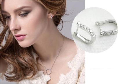 Silver Horse Shoe Earrings