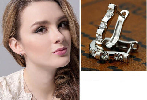 Silver Horse Shoe Earrings