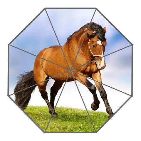Color Splash Horse Umbrella