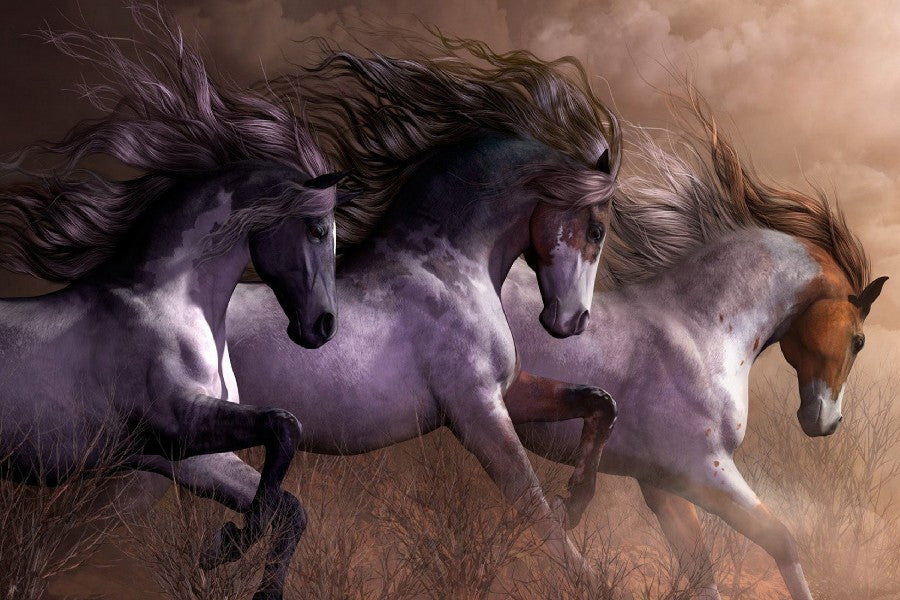Wild Horses Poster/Canvas