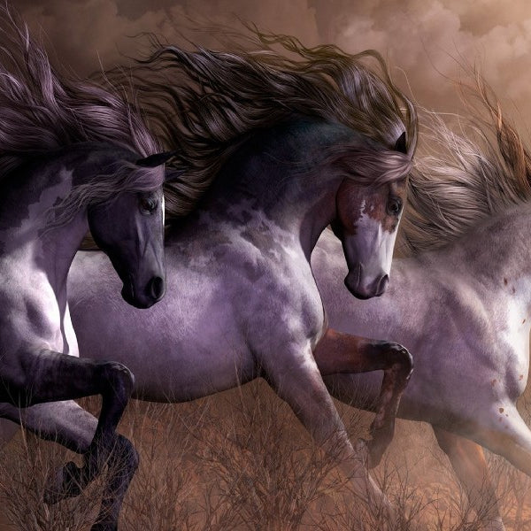 Wild Horses Poster/Canvas